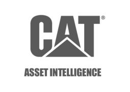 CAT Asset Intel Web Design Virginia Beach