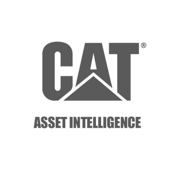 CAT Asset Intel Web Design Virginia Beach