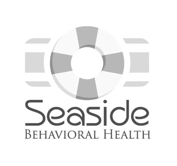 Web Design Virginia Seaside Behavioral Health