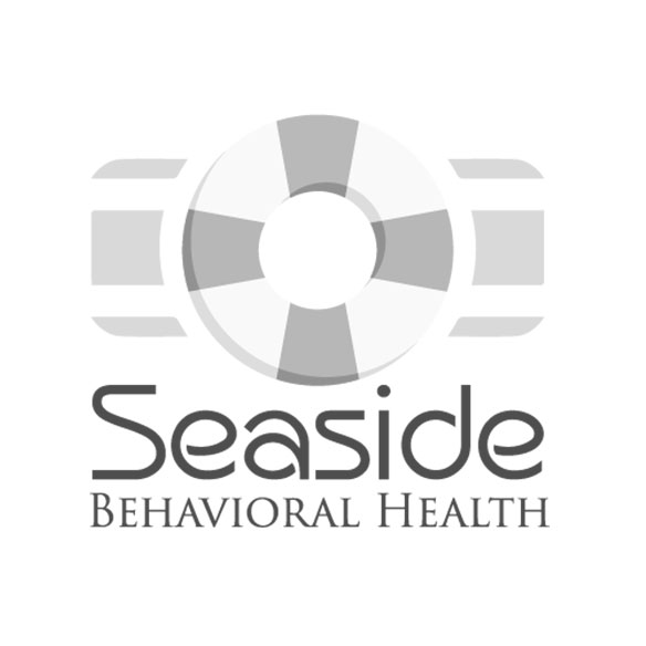 Web Design Virginia Seaside Behavioral Health